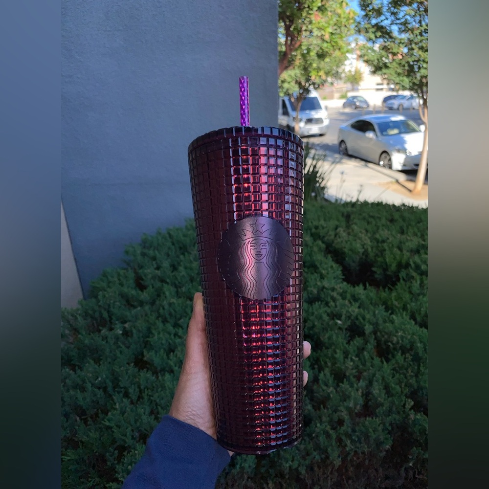 Starbucks Berry Plum Grid Disco Christmas Holiday (2020) 24oz710M